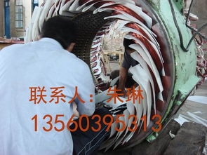 發(fā)電機(jī)維修 發(fā)電機(jī)保養(yǎng) 直流電機(jī)維修 保養(yǎng)規(guī)格型號(hào)及價(jià)格 電機(jī)維修 電機(jī)保養(yǎng) 發(fā)電機(jī)維修 發(fā)電機(jī)保養(yǎng)